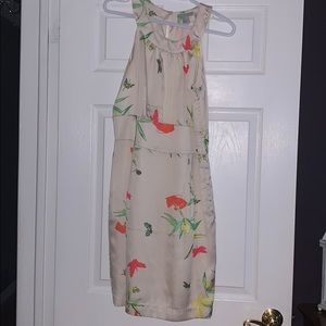 Never worn midi dress